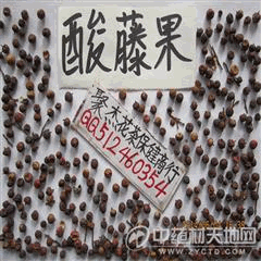 酸藤果