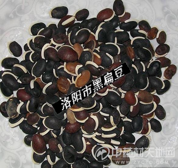 供应:黑扁豆