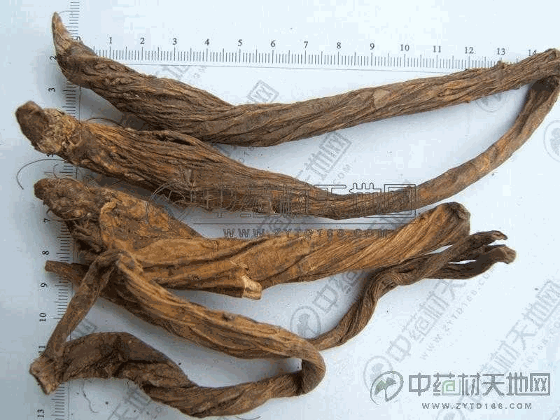 秦艽 产品供应 加工类 商机频道 中药材天地网