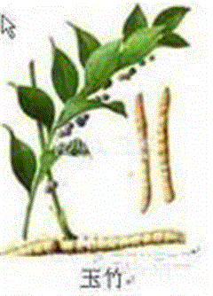 中草药图片名字 748762s.gif